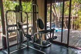 Roc Jungle Tulum