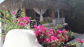 Sonido Del Mar