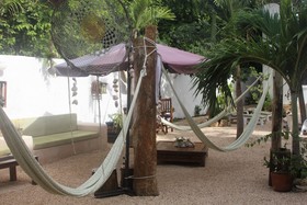 Sonido Del Mar