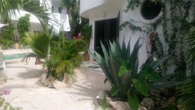 Sonido Del Mar
