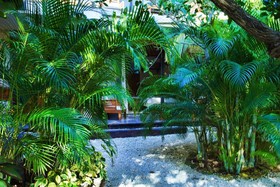 Suites Tulum