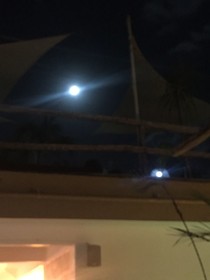 Teetotum hotel