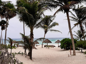 Bt Live Tulum
