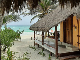 Bt Live Tulum