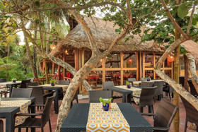 Bt Live Tulum