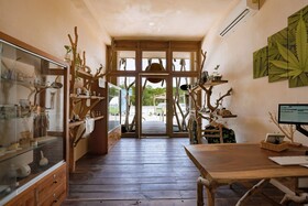 Tulum Brew House Hotel