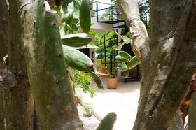 Villa Zena Liza