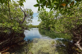 Yaxchen Tulum Eco Lodge & Cenote