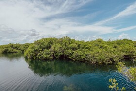 Yaxchen Tulum Eco Lodge & Cenote