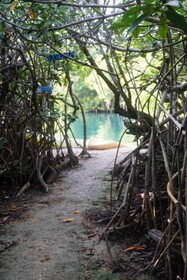 Yaxchen Tulum Eco Lodge & Cenote