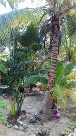 Zamunda Garden View Apartments
