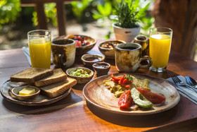 Zenses Wellness And Yoga Resort