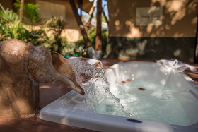Serenity Tulum Glamping