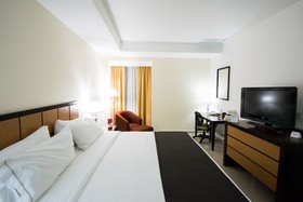 Holiday Inn Express Paraiso Dos Bocas