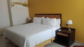 Holiday Inn Express Paraiso Dos Bocas