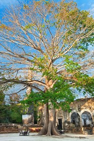 Hacienda Uayamon