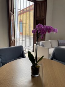 Las Lupitas Hotel Boutique
