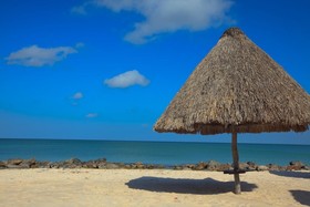 Tucan Siho-Playa