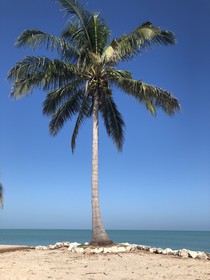 Casa Bremar 3097