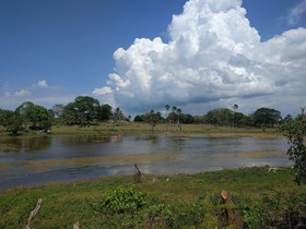 Cabañas El Cuyo