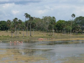 Cabañas El Cuyo