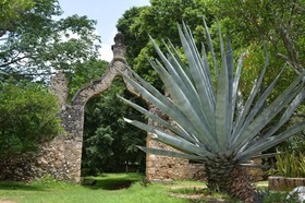 Hacienda Blanca Flor