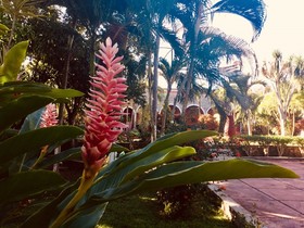 Hacienda Sacnicte