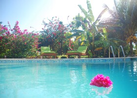 Margarita del Sol Costa Maya