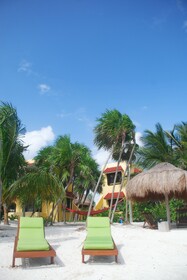 Margarita del Sol Costa Maya