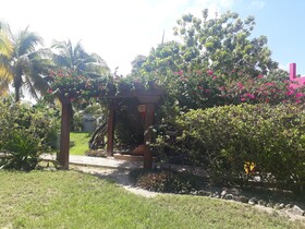 Margarita del Sol Costa Maya