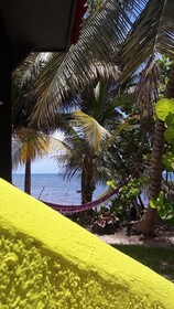 Margarita del Sol Costa Maya