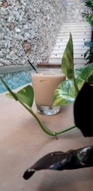 Casa Boutique Pasha