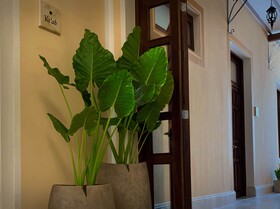 Casa Tavera