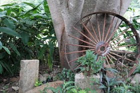 Hacienda Tepich