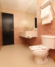 Hotel Embajadores