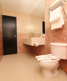 Hotel Embajadores