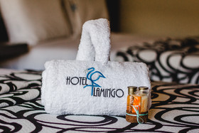Hotel Flamingo Merida