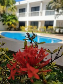 Hotel Holly