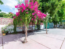 Hotel Palomino Acanceh by OYO Rooms