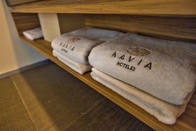 Hotel Plaza by Kavia