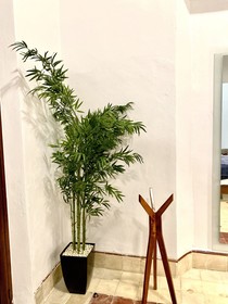 Kuxtal Hotel Boutique