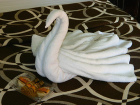 Montejo Hotel