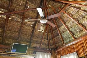 Cabanas Frida