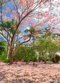 Hacienda San Jose, a Luxury Collection Hotel