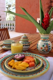 Hacienda San Antonio Millet