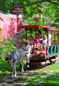 Home Hacienda Temozon, a Luxury Collection Hotel