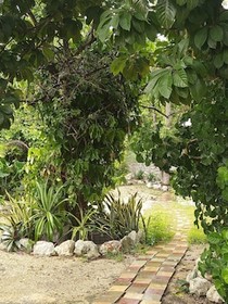 Casa Hostal Mamey