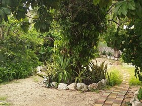 Casa Hostal Mamey