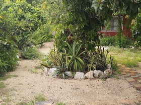 Casa Hostal Mamey