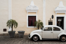 Coqui Coqui Valladolid